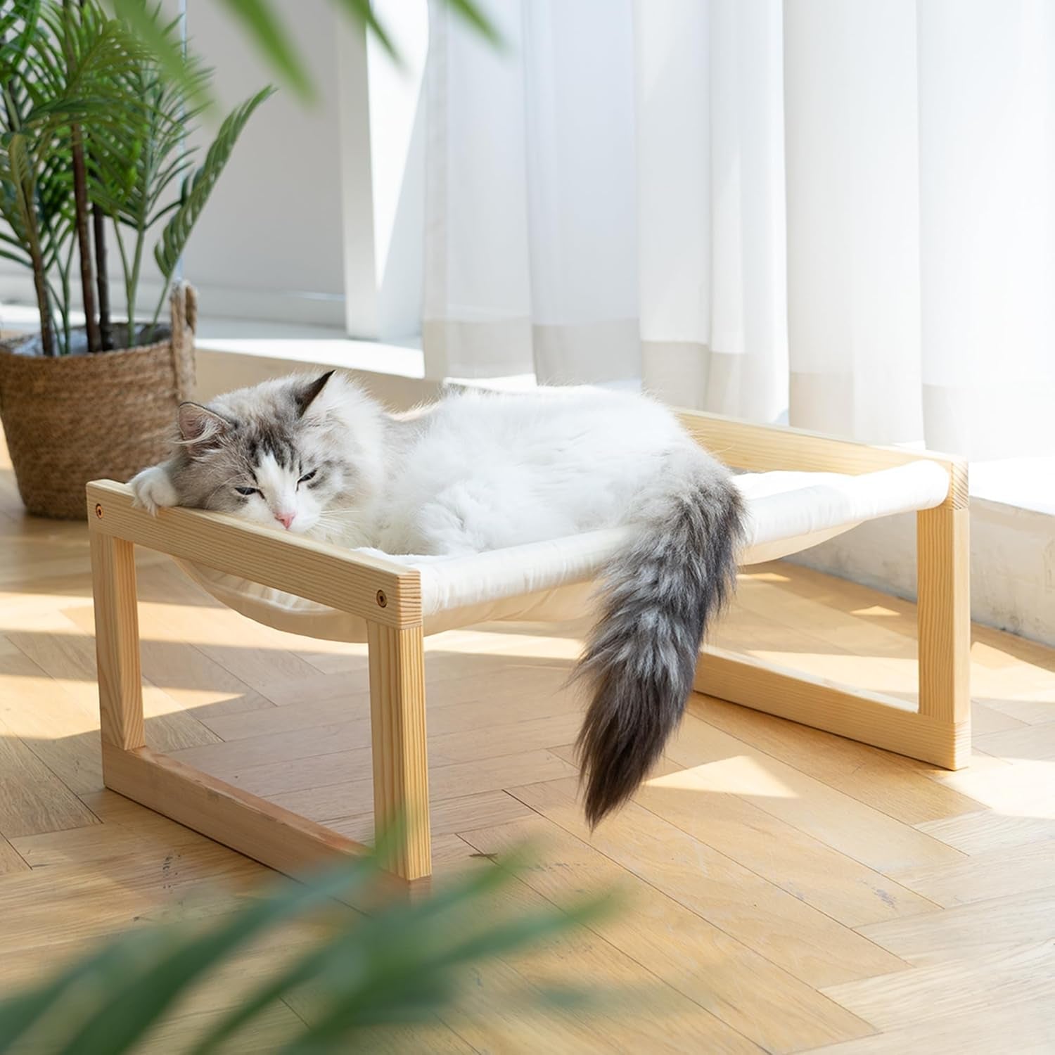 Cat Bed Hammock, Cozy Velvet Cat Couch for Indoor Cats, Raised Wooden Cats Perch, 21 Inch Pet Sofa, Outdoor Dog Beds, Suitable for Puppy, Bunny and Small Animal, White